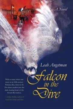 Falcon in the Dive - Angstman, Leah