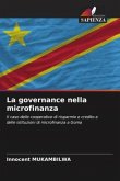 La governance nella microfinanza