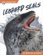 Leopard Seals - Bild 1