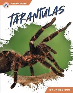 Tarantulas - Bow, James