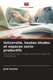 Université, hautes études et espaces socio-productifs