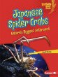 Japanese Spider Crabs - Bild 1