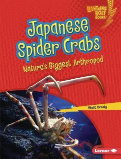 Japanese Spider Crabs - Brody, Walt