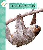 Los Perezosos
