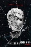 Pieces of a Broken Mind (eBook, ePUB)