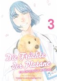 Die Früchte der Platane - Ein Kinderarzt mit Herz Bd.3 (eBook, PDF)
