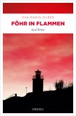 Föhr in Flammen (eBook, ePUB)