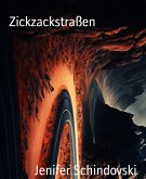 Zickzackstraßen (eBook, ePUB)