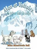 Max et Voltaire Un Trésor dans la neige (eBook, ePUB)