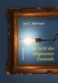 Im Licht des vergessenen Zustands (eBook, ePUB)