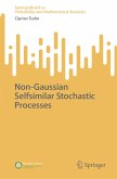 Non-Gaussian Selfsimilar Stochastic Processes (eBook, PDF)