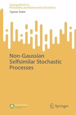 Non-Gaussian Selfsimilar Stochastic Processes (eBook, PDF) - Tudor, Ciprian