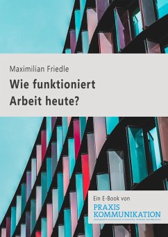 Praxis Kommunikation: Wie funktioniert Arbeit heute? (eBook, ePUB) - Friedl, Maximilian