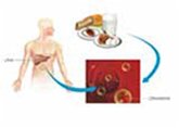 Estimation of Blood Cholesterol (eBook, ePUB)