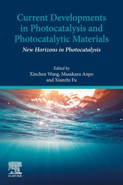 Cover Current Developments in Photocatalysis and Photocatalytic Materials (eBook, ePUB)