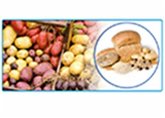 General Tests of Carbohydrates and their Identification (eBook, ePUB) General Tests of Carbohydrates and their Identification (eBook, ePUB)