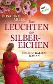 Das Leuchten der Silbereichen (eBook, ePUB)