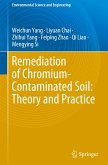 Remediation of Chromium-Contaminated Soil: ¿Theory and Practice¿
