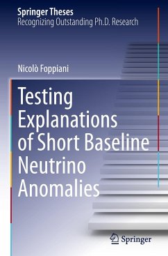 Testing Explanations of Short Baseline Neutrino Anomalies - Foppiani, Nicolò