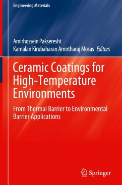 Ceramic Coatings for High-Temperature Environments