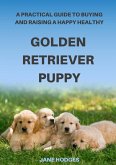 A Practical Guide to Buying and Raising A Happy Healthy Golden Retriever Puppy