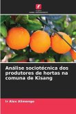 Análise sociotécnica dos produtores de hortas na comuna de Kisang