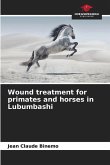 Wound treatment for primates and horses in Lubumbashi