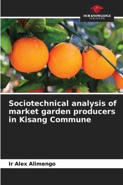 Sociotechnical analysis of market garden producers in Kisang Commune - Alimengo, Ir Alex