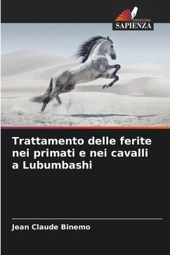 Trattamento delle ferite nei primati e nei cavalli a Lubumbashi - Binemo, Jean Claude