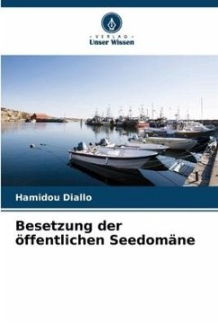 Besetzung der öffentlichen Seedomäne - Diallo, Hamidou