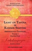 Light on Tantra in Kashmir Shaivism - Volume 3 (eBook, ePUB)