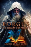 Borgus e o Segredo dos Magos (1 de 1, #1) (eBook, ePUB)