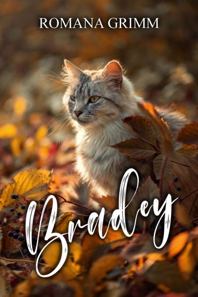 Bradey (eBook, ePUB)