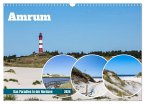 Amrum - Das Paradies in der Nordsee (Wandkalender 2024 DIN A3 quer), CALVENDO Monatskalender