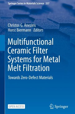 Multifunctional Ceramic Filter Systems for Metal Melt Filtration