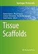 Tissue Scaffolds - Bild 1
