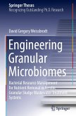 Engineering Granular Microbiomes