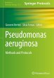 Pseudomonas aeruginosa - Bild 1