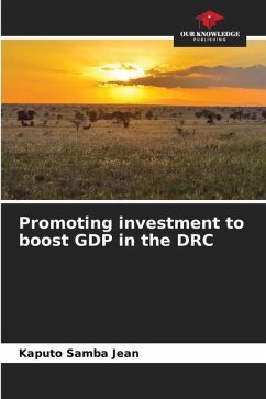 Promoting investment to boost GDP in the DRC - Samba Jean, Kaputo