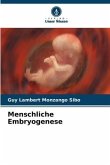 Menschliche Embryogenese