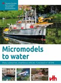 Micromodels to water (eBook, ePUB)
