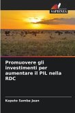 Promuovere gli investimenti per aumentare il PIL nella RDC