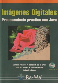 Imágenes digitales : procedimiento práctico con Java - Pajares Martinsanz, Gonzalo