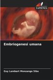 Embriogenesi umana