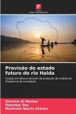 Previsão do estado futuro do rio Halda