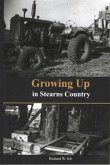 Growing up in Stearns County (eBook, ePUB)