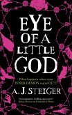 Eye of a Little God (eBook, ePUB)