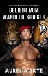 Geliebt vom Wandler-Krieger (eBook,... - Bild 1