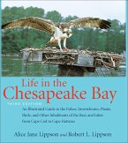 Life in the Chesapeake Bay (eBook, ePUB)
