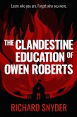The Clandestine Education of Owen Roberts (eBook, ePUB)